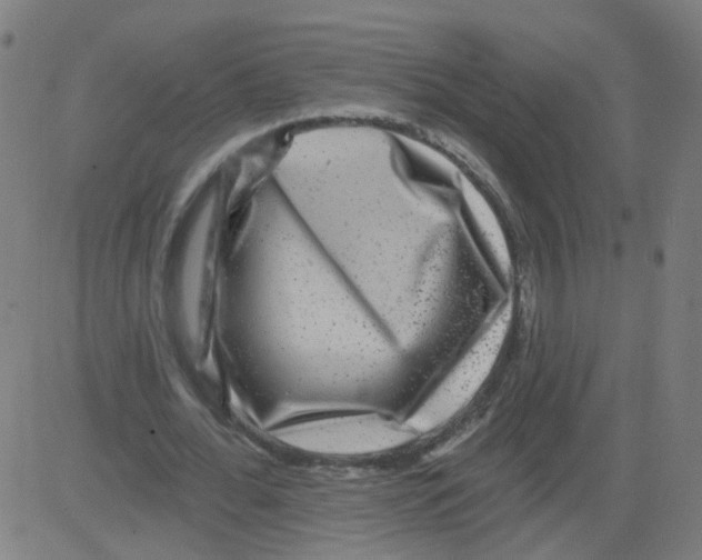 X0000081440676200702092225