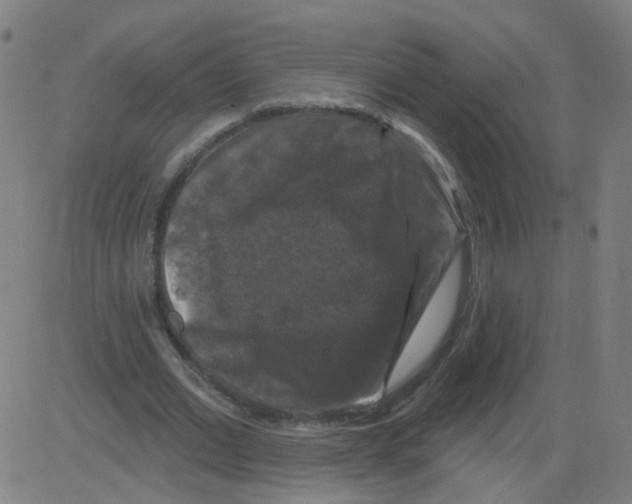X0000081440677200702092225