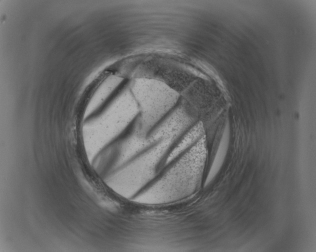 X0000081440680200702092225