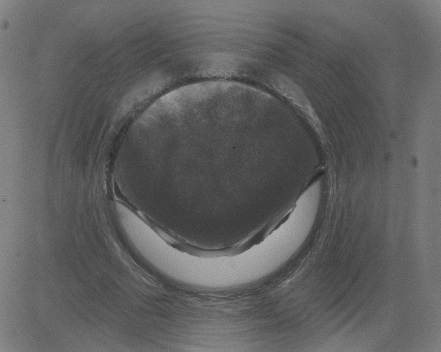 X0000081440681200702092225