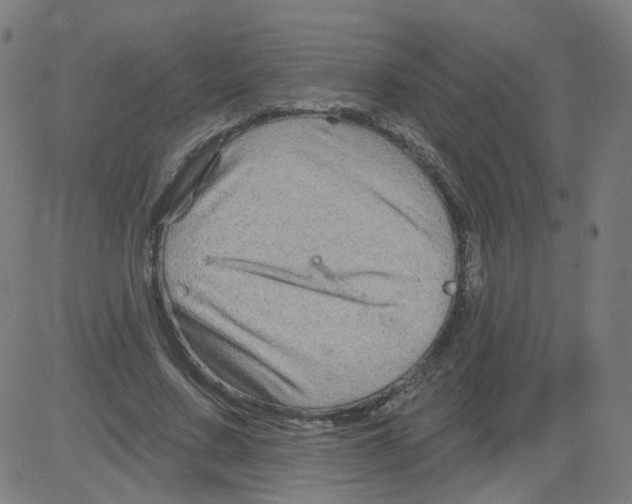 X0000081440683200702092225