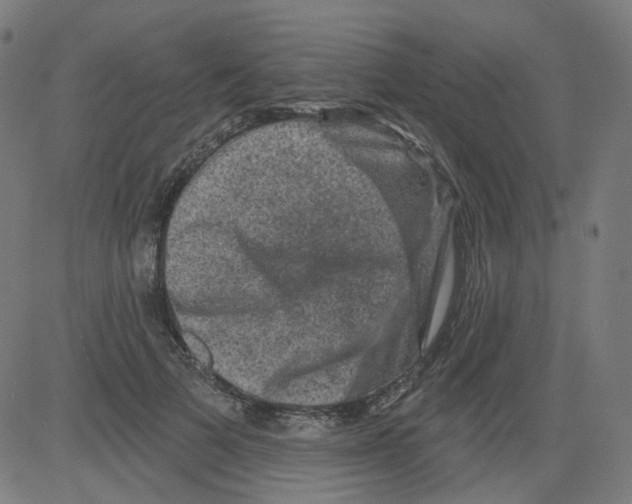 X0000081440697200702092225