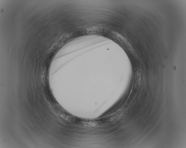 X0000081440698200702092225