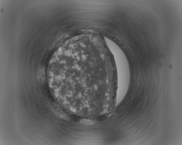 X0000081440699200702092225
