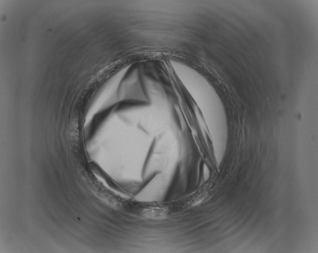 X0000081440700200702092225