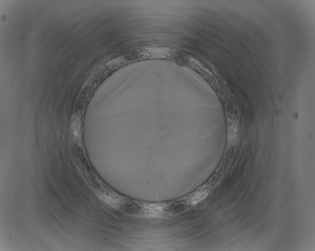 X0000081440701200702092225