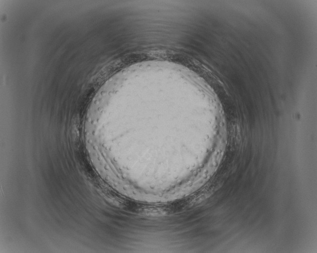 X0000081440702200702092225