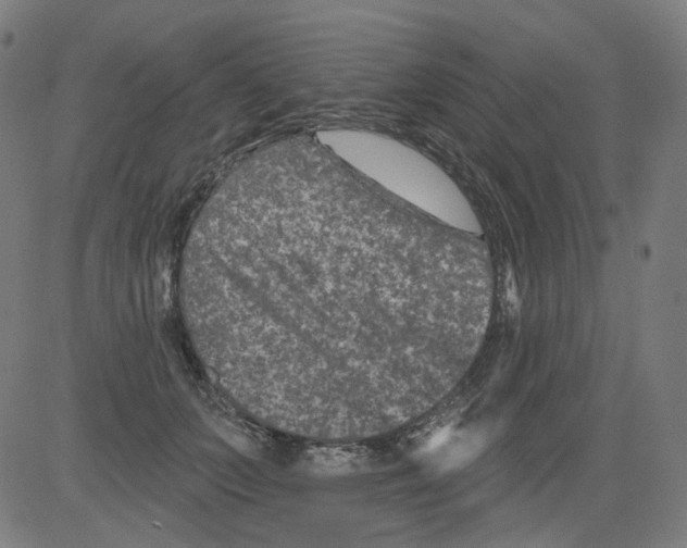 X0000081440703200702092225