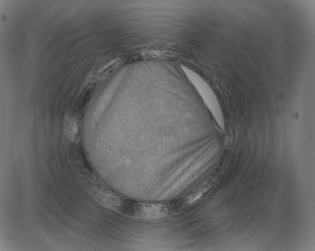 X0000081440709200702092225