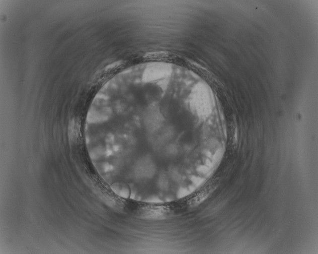 X0000081440711200702092225
