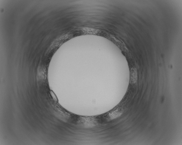 X0000081440713200702092225