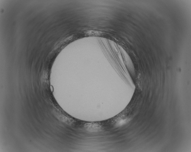 X0000081440714200702092225