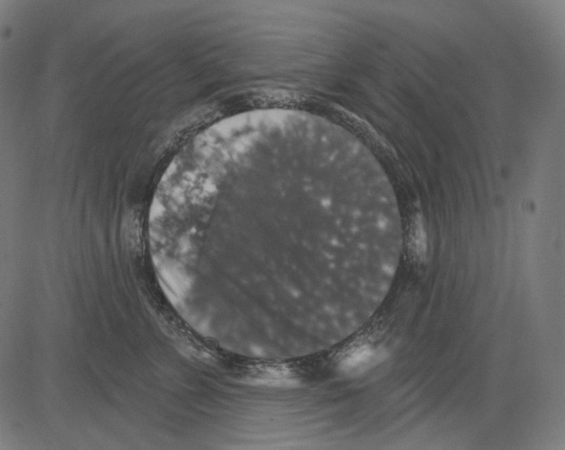 X0000081440715200702092225