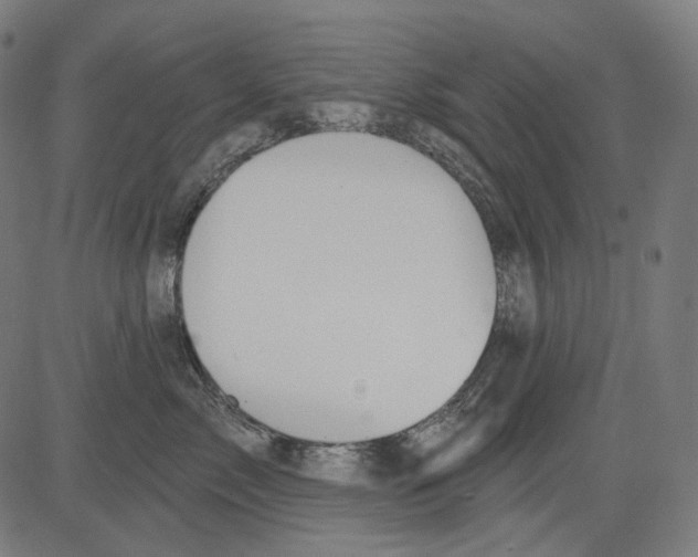 X0000081440717200702092225