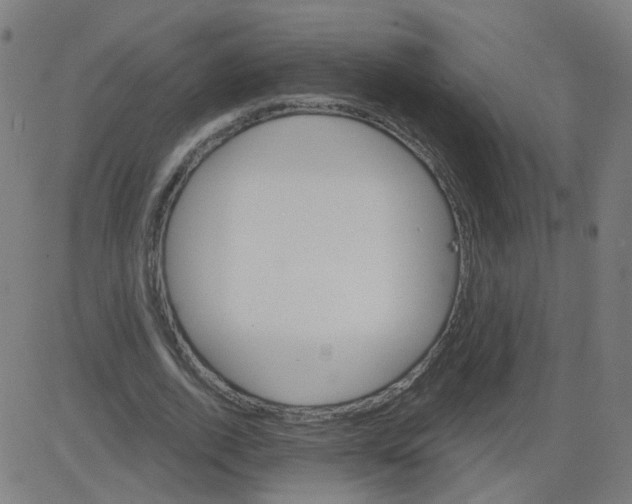 X0000081440728200702092224