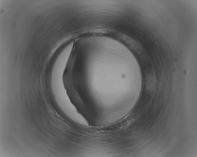 X0000081440731200702092224