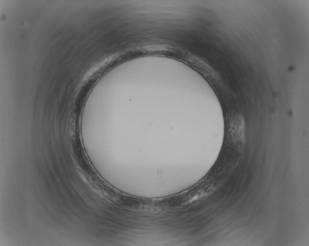 X0000081440732200702092224