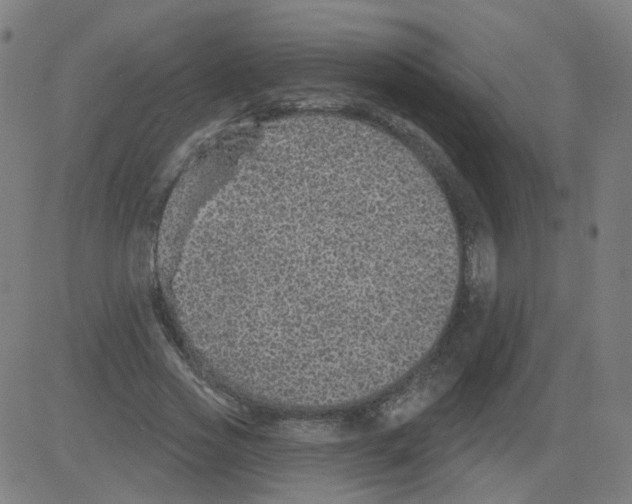 X0000081440733200702092224