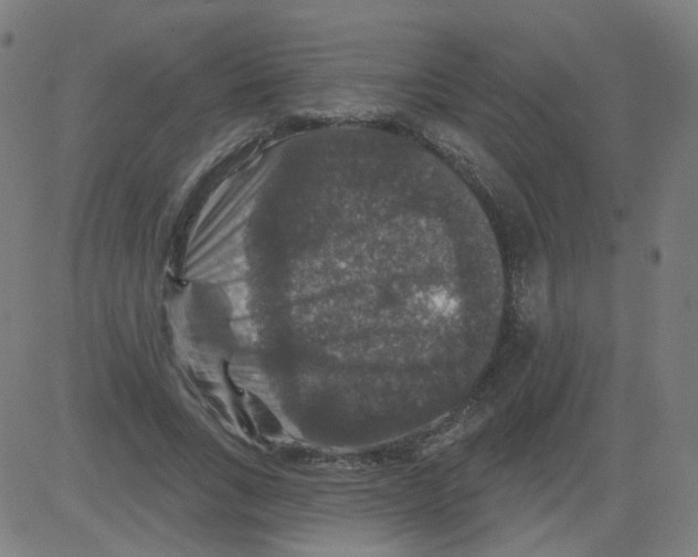 X0000081440735200702092224