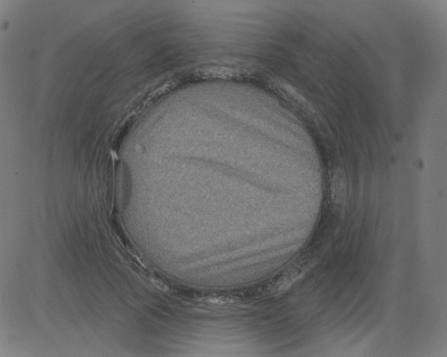 X0000081440737200702092224