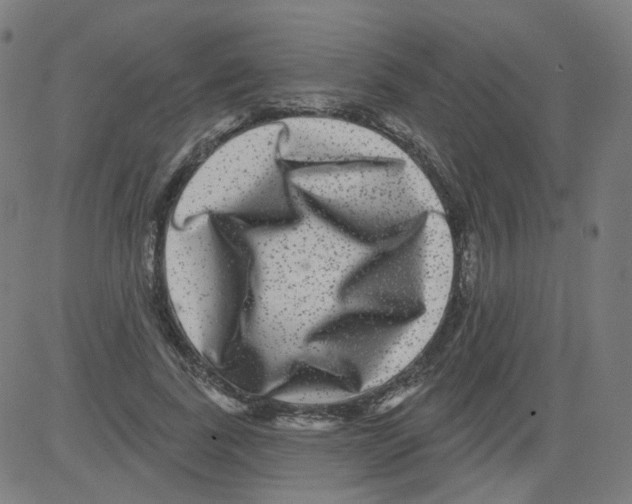 X0000081440739200702092224