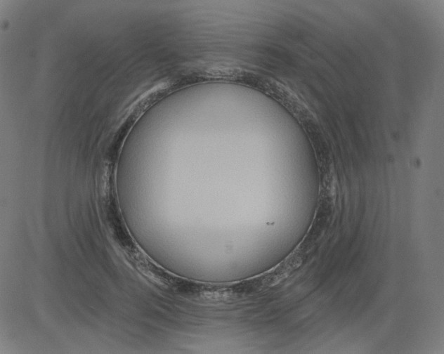 X0000081440744200702092224