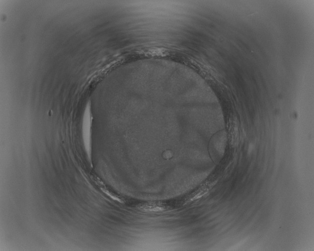 X0000081440747200702092224