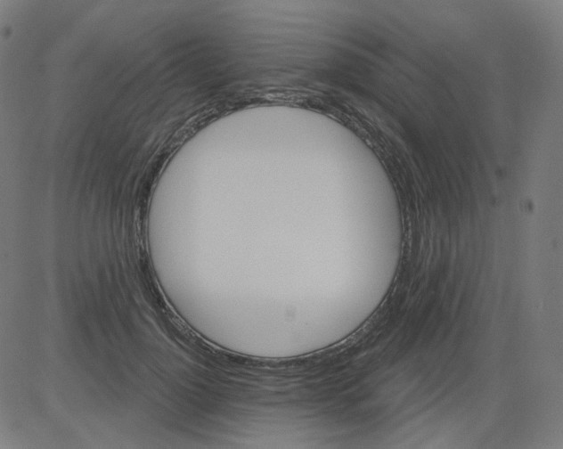 X0000081440748200702092224