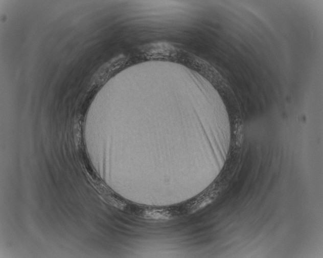 X0000081440753200702092224