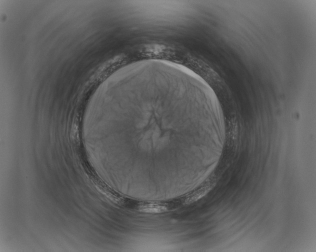 X0000081440754200702092224