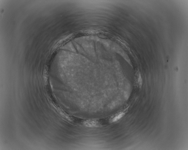 X0000081440762200702092224