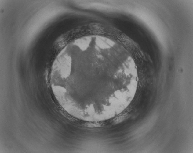 X0000081440765200702092224
