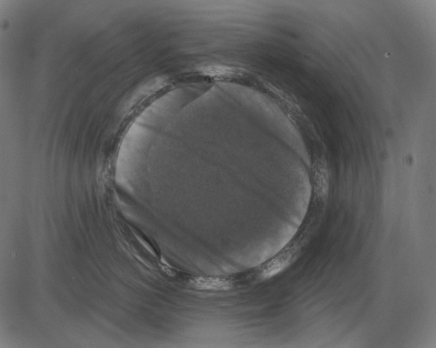 X0000081440766200702092224