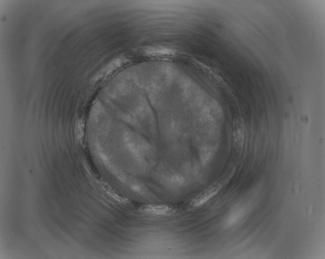 X0000081440767200702092224