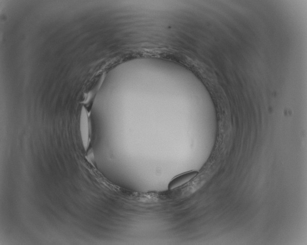 X0000081440768200702092224