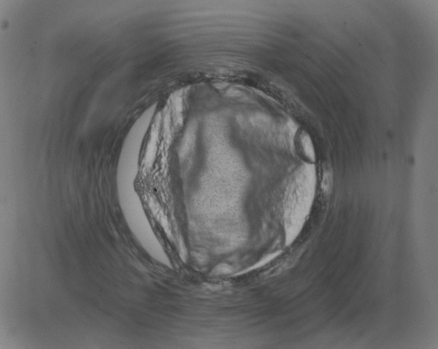 X0000081440771200702092224