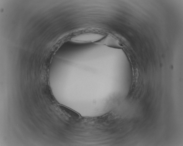 X0000081440773200702092224