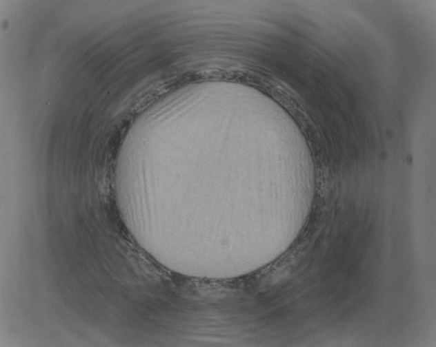 X0000081440774200702092224
