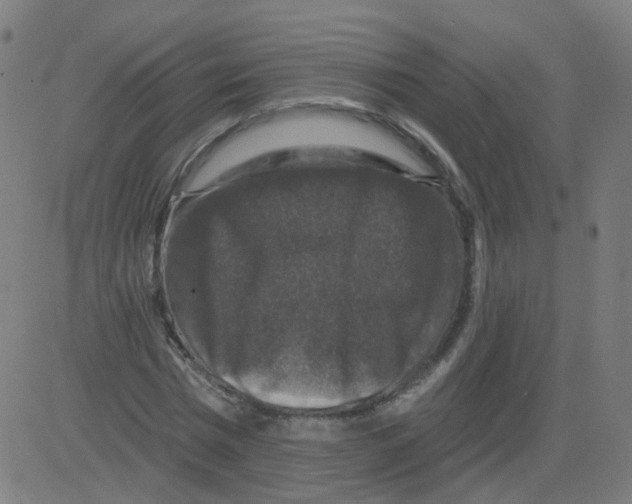 X0000081440777200702092224
