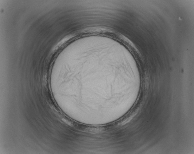 X0000081440778200702092224