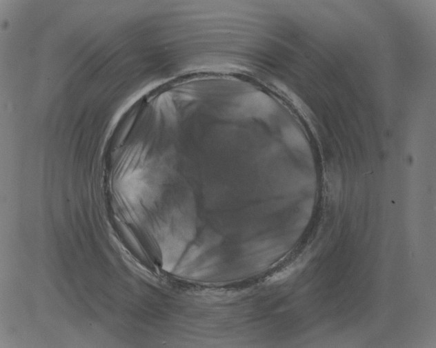 X0000081440779200702092224