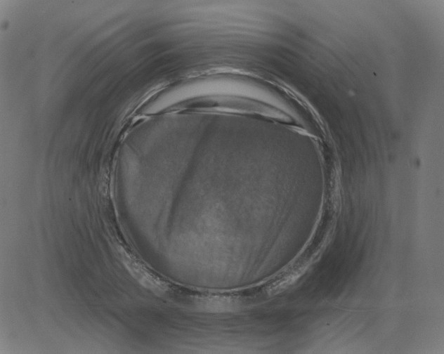 X0000081440785200702092223