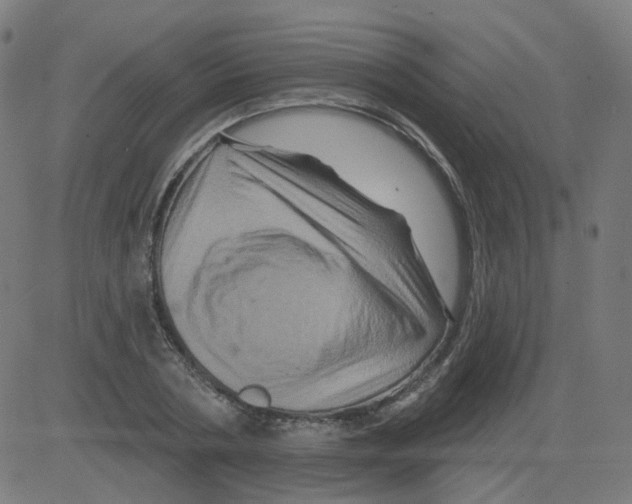 X0000081440786200702092223
