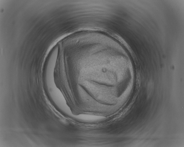 X0000081440787200702092223