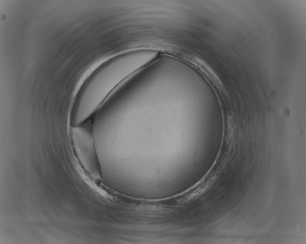 X0000081440788200702092223