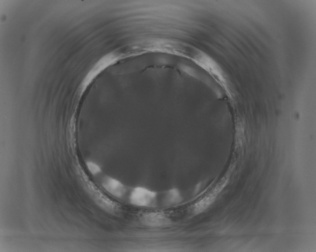X0000081440798200702092223