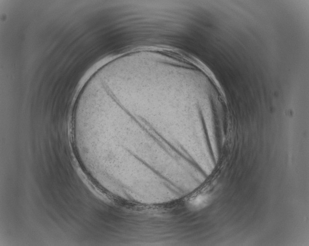 X0000081440811200702092223