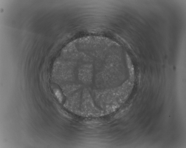 X0000081440817200702092222