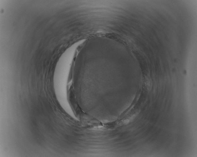 X0000081440818200702092222