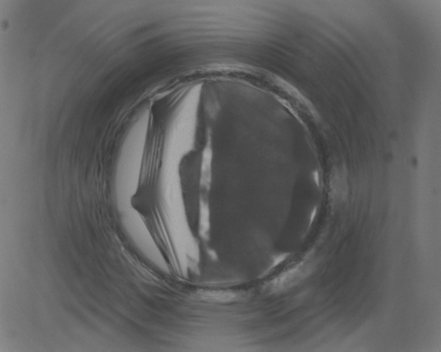 X0000081440825200702092222